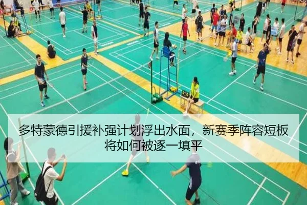 多特蒙德引援补强计划浮出水面，新赛季阵容短板将如何被逐一填平 - ygrbuyu